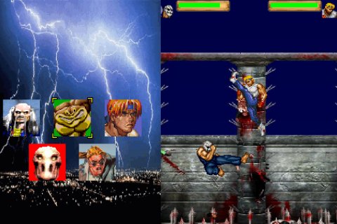 Sega Combat