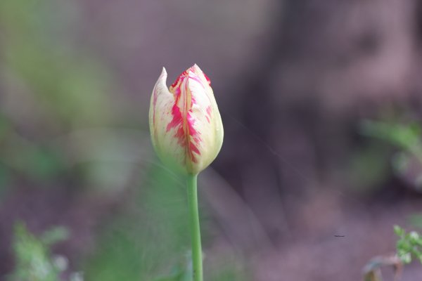 05.05.2025