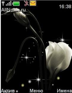 flover by lerika