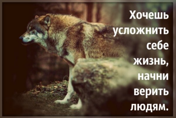 Есть три вещи