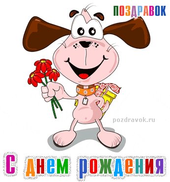 animatsionnaya-kartinka-den-rozhdeniya-dog