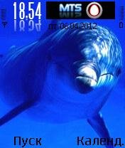 Delfin