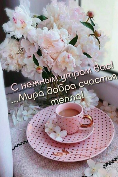 С нежным утром Вас! Мира, добра, счастья, тепла