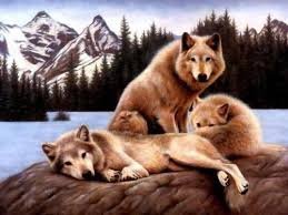 images (11)