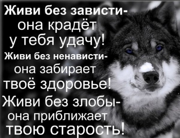 Живи без...