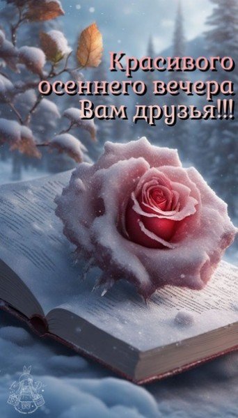 file_95077911