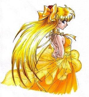5sailor moon