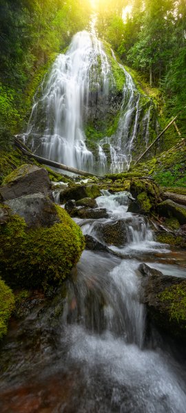 file_100523028