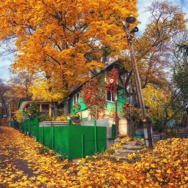 file_94756525