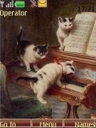 kittens