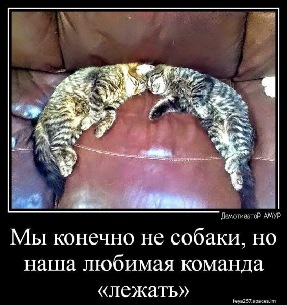 C7ba39f25f392b7198398abadc3e952a-