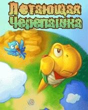 Flying a small turtle