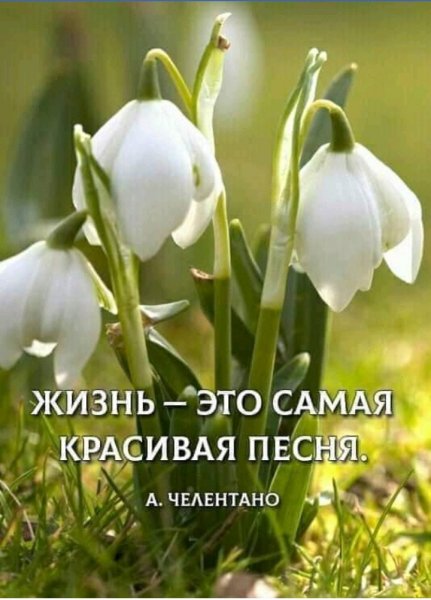 IMG 20190818 060512