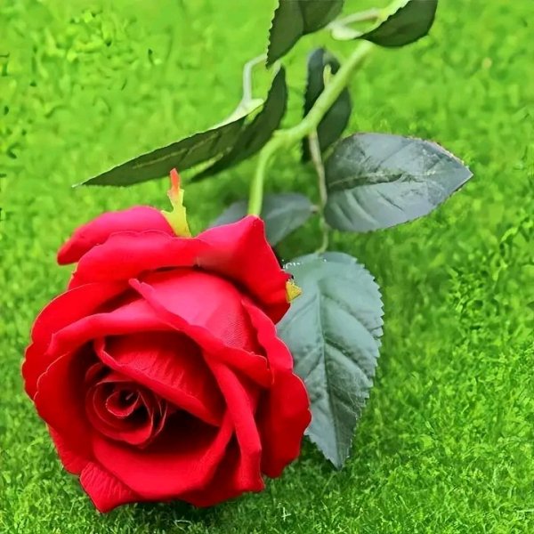 file_96160255