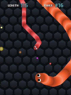 snakes