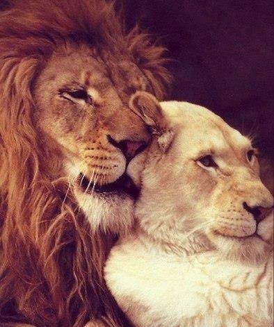 31hlTX3gfRspq. 000