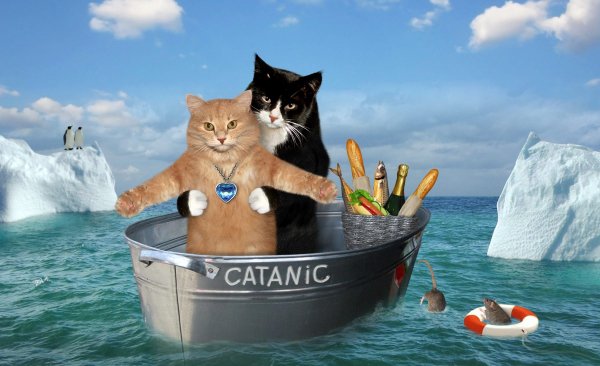Catanic