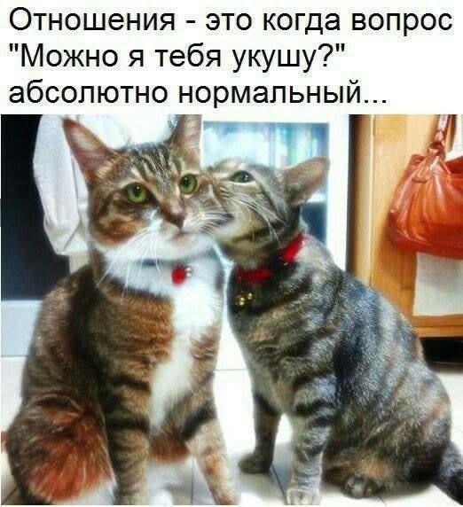 FB IMG 1771709664844