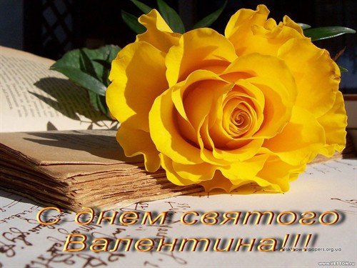 file_81135562