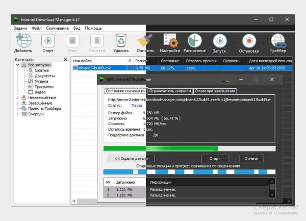 Internet Download Manager 6.41.11 (Repack)