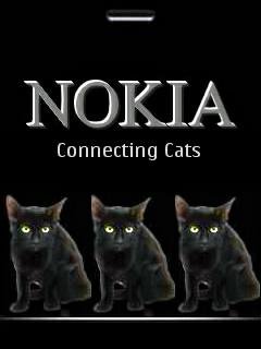 Коты