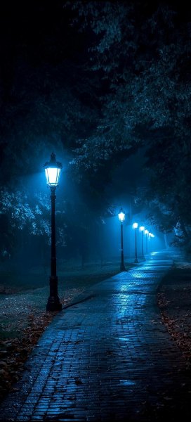 file_101794097