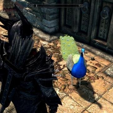 Peacocks.2
