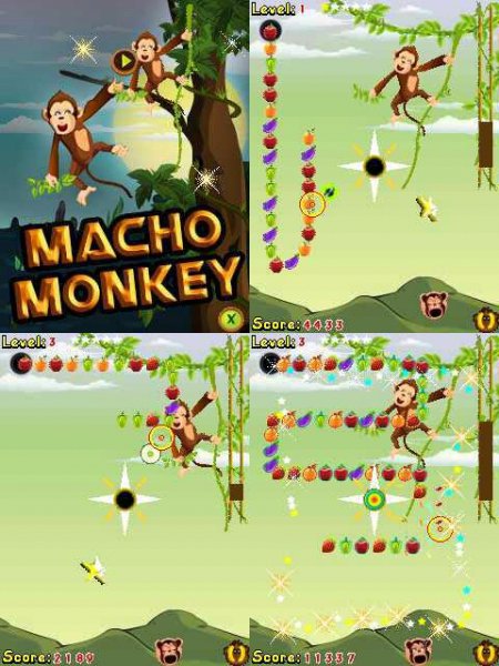 Macho Monkey 240x320