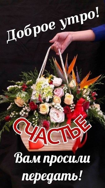 file_94848471