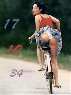 file_71919024