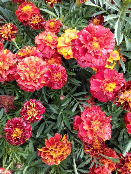 IMG 20190905 145716