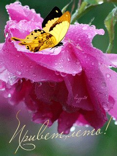 file_48750809