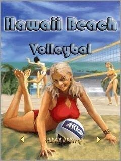 Hawaii Beach Volleyball 128x160
