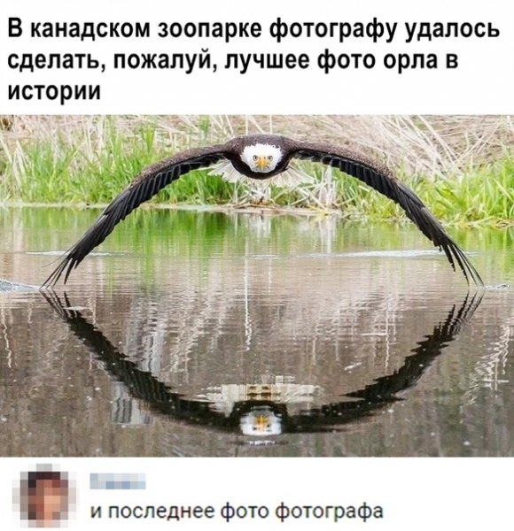 file_77629142