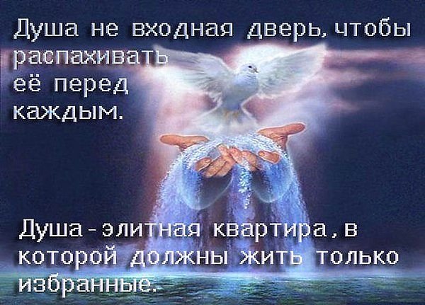 TwlFqouLybE