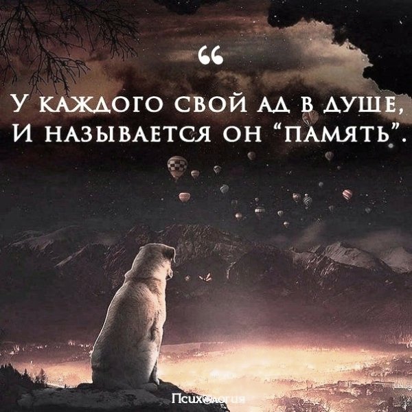 file_98986296