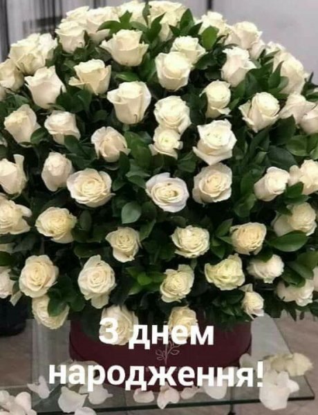 e36ce3546f7f5e6d83f6e8e9457f6474