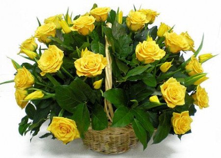 file_94951780