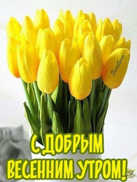 IMG 20240320 162457