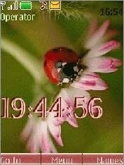 ladybird swf