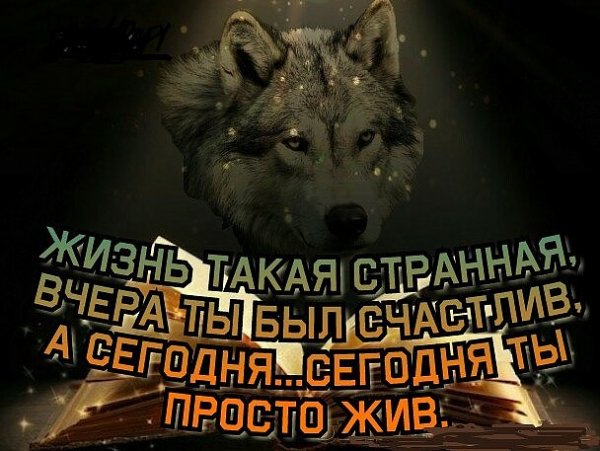 Странная жизнь