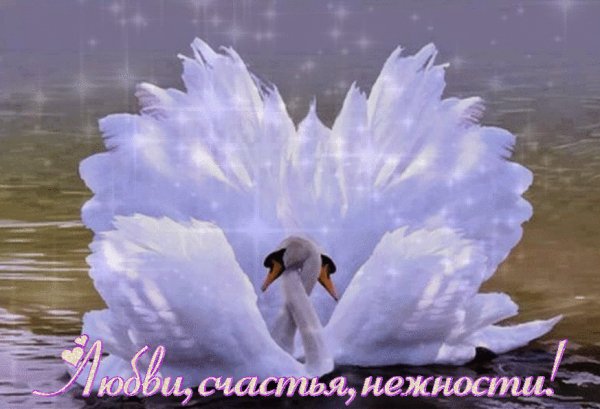 0 254843 eac2d1e1 orig
