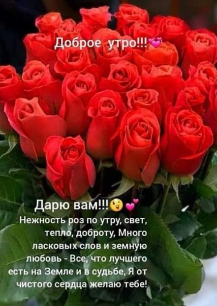 Доброе утро