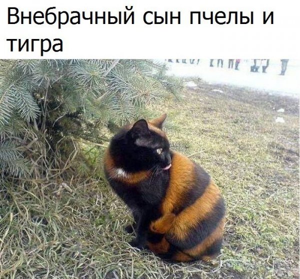 fRNoVCQaKC0