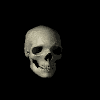 Череп