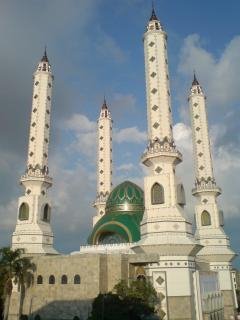 Farqini top