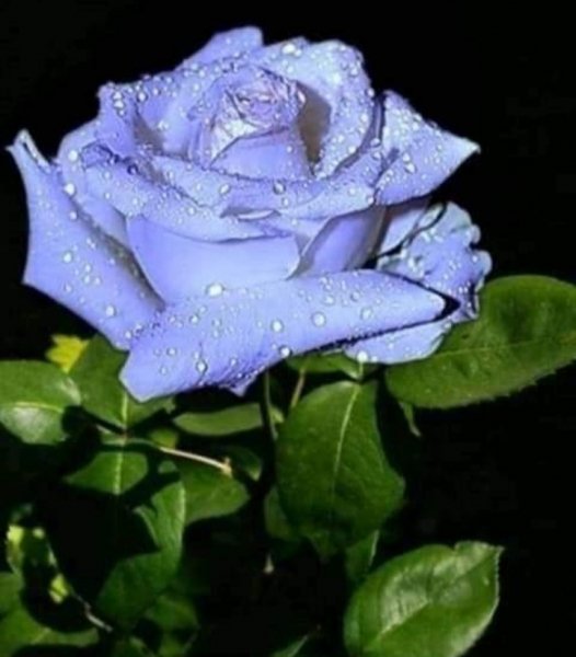 IMG 20200819 214948