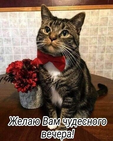 file_90262367
