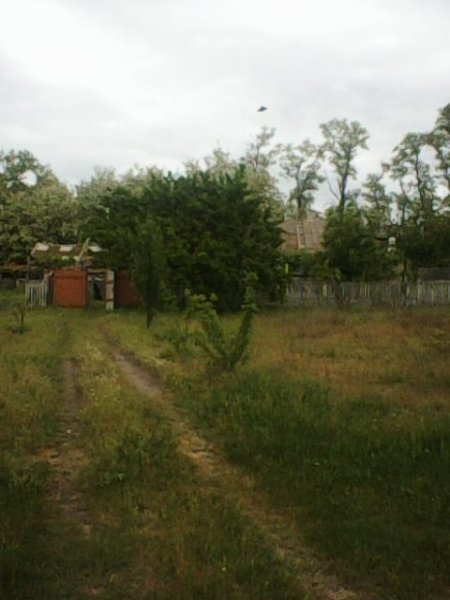 Photo0246