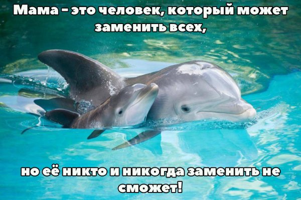 --d024x683